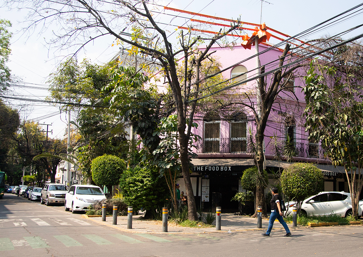 The Real Cost of Expat Life in Mexico: Why Affordability Isn’t Enough