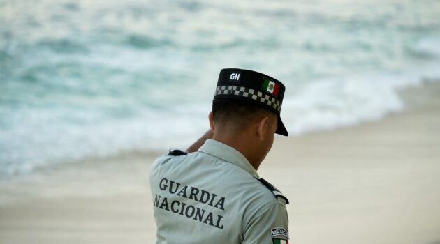 Vagamood Sundaze Unsplash Puerto Vallarta Flights Resume