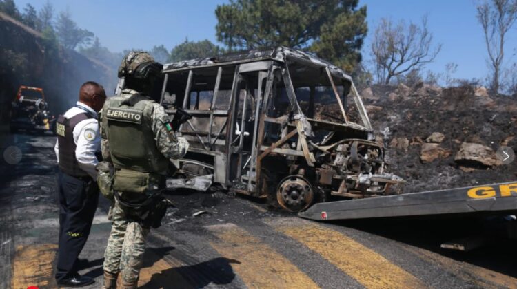 Mexico National Guard