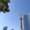 bank