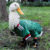 World Cup duck